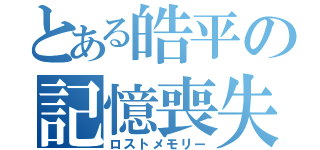 とある皓平の記憶喪失（ロストメモリー）