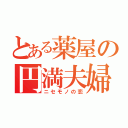 とある薬屋の円満夫婦（ニセモノの恋）