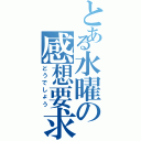 とある水曜の感想要求（どうでしょう）