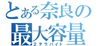 とある奈良の最大容量（２テラバイト）