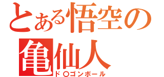 とある悟空の亀仙人（ド〇ゴンボール）