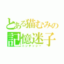 とある猫むみの記憶迷子（ニンチッシー）