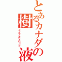 とあるカナダの樹　　液（メイプルシロップ）