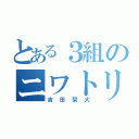 とある３組のニワトリ（吉田栞大）