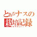 とあるナスの栽培記録（なすかしい！）