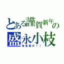 とある謹賀新年の盛永小枝（有言実行！！）