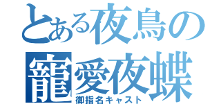 とある夜鳥の寵愛夜蝶（御指名キャスト）