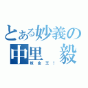 とある妙義の中里 毅（板金王！）