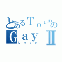 とあるＴｏｕｍａのＧａｙ ＩＩＩⅡ（Ｌｍａｏ）