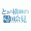 とある横綱の帰国会見（フロムライ）