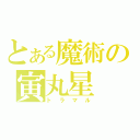 とある魔術の寅丸星（トラマル）