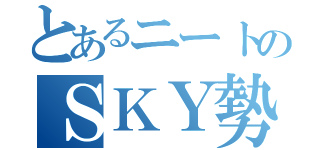 とあるニートのＳＫＹ勢（）