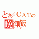 とあるＣＡＴの晩御飯（ディナー）