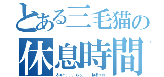 とある三毛猫の休息時間（ふぁ～．．．もぅ．．．ねるッ☆）