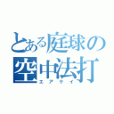 とある庭球の空中法打（エアケイ）