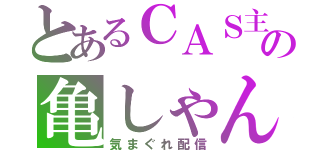 とあるＣＡＳ主の亀しゃん（気まぐれ配信）