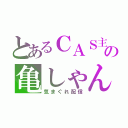 とあるＣＡＳ主の亀しゃん（気まぐれ配信）