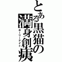 とある黒猫の満身創痍（ホーリーナイト）