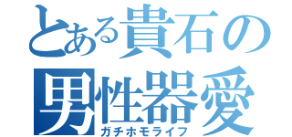 とある貴石の男性器愛（ガチホモライフ）