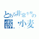 とある非常牛弊の霹雳小麦（大烧饼）