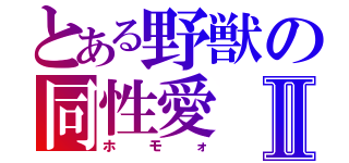 とある野獣の同性愛Ⅱ（ホモォ）