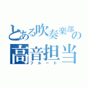 とある吹奏楽部の高音担当（フルート）