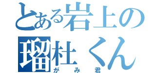 とある岩上の瑠杜くん（がみ君）