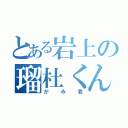 とある岩上の瑠杜くん（がみ君）