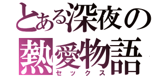 とある深夜の熱愛物語（セックス）