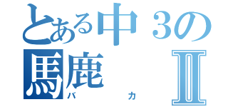 とある中３の馬鹿Ⅱ（バカ）