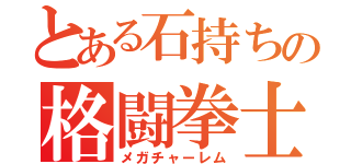 とある石持ちの格闘拳士（メガチャーレム）