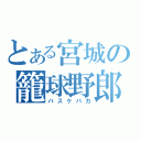 とある宮城の籠球野郎（バスケバカ）