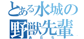 とある水城の野獣先輩（あ　だ　ち）