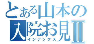 とある山本の入院お見舞いⅡ（インデックス）