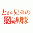 とある兄弟の救急戦隊（ゴーゴーファイブ）