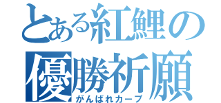 とある紅鯉の優勝祈願（がんばれカープ）