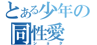 とある少年の同性愛（ショタ）