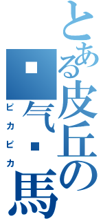 とある皮丘の电气铁馬（ピカピカ）