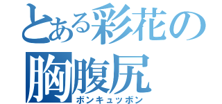 とある彩花の胸腹尻（ボンキュッボン）