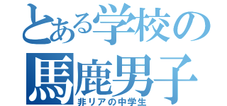 とある学校の馬鹿男子（非リアの中学生）