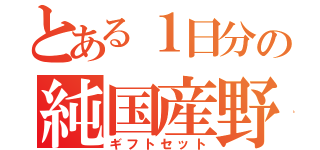 とある１日分の純国産野菜（ギフトセット）