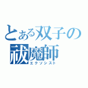 とある双子の祓魔師（エクソシスト）