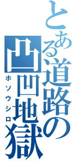 とある道路の凸凹地獄（ホソウシロ）