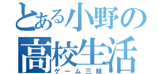 とある小野の高校生活（ゲーム三昧）