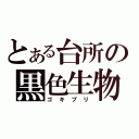 とある台所の黒色生物（ゴキブリ）