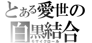 とある愛世の白黒結合（モザイクロール）