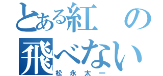 とある紅の飛べない豚（松永太一）