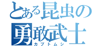 とある昆虫の勇敢武士（カブトムシ）