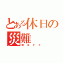 とある休日の災難（如月モモ）