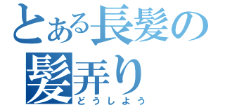 とある長髪の髪弄り（どうしよう）